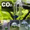 Aquarium-CO2-Test-en-Verre