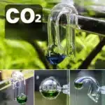 Aquarium-CO2-Test-en-Verre