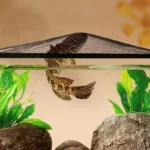 Filet-Anti-Saut-Aquarium-grand-poisson