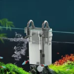 Filtre-Externe-Aquarium-50L-poissons