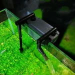 Filtre-Externe-Aquarium-80L-poissons