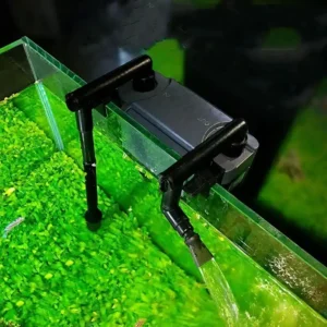 Filtre-Externe-Aquarium-80L-poissons