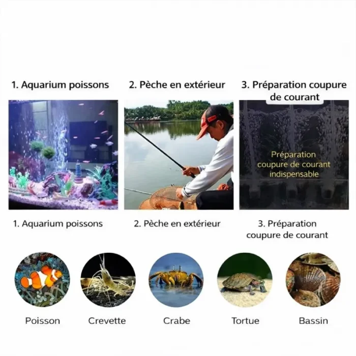 Mini Pompe à Air Aquarium Réglable peche