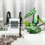 kit-Filtre-Externe-Aquarium-50L-tortue-aquatique