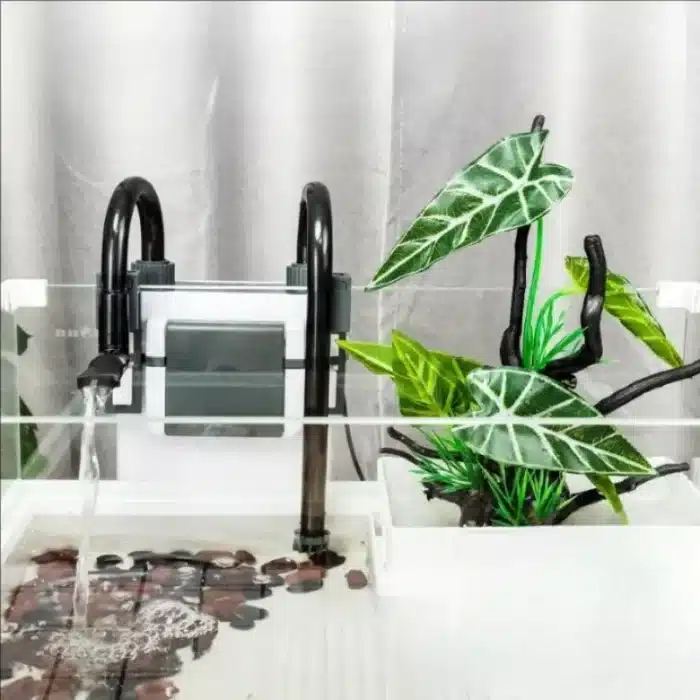 kit-Filtre-Externe-Aquarium-50L-tortue-aquatique