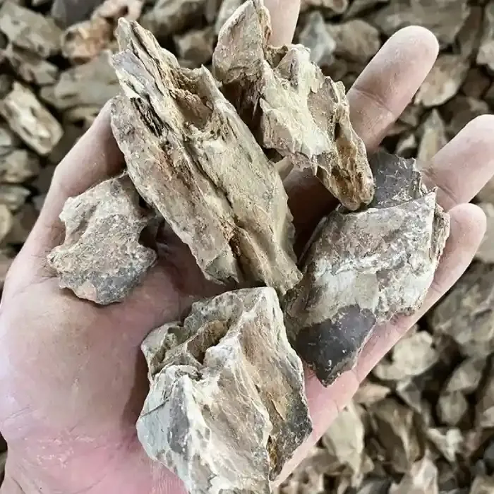 Quelles pierres crevettes microporeuse naturelle