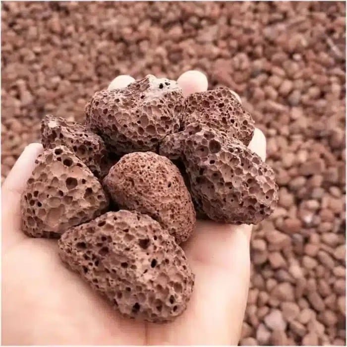 Quel pierre pour aquarium eau douce avec crevette twb pour un bac stable ?