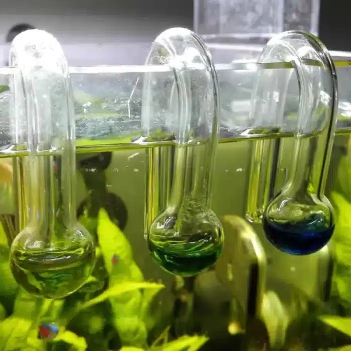 test-co2-aquarium-poissons