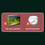 ChatGPT Image 9 mars 2026, 19 h 10 min 33 s (1)