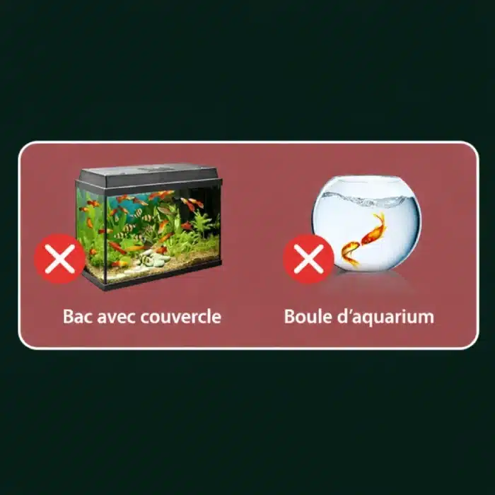 ChatGPT Image 9 mars 2026, 19 h 10 min 33 s (1)