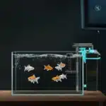 Filtre-Externe Aquarium-tortue-100L-poissons