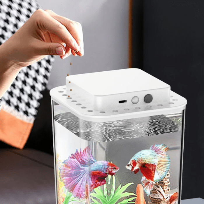 Mini-Aquarium-Poisson-2L
