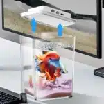 Mini-Aquarium-Poisson-2L-led-betta