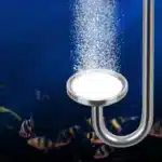 Pierre-a-Air-Aquarium-en-Inox