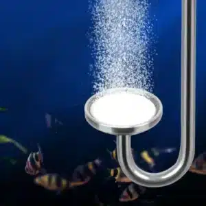 Pierre-a-Air-Aquarium-en-Inox