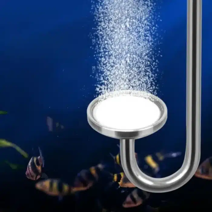 Pierre-a-Air-Aquarium-en-Inox