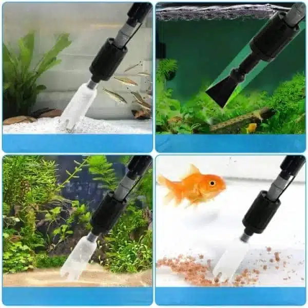 Quel est la meilleur aspiration dans un aquarium eau chaude