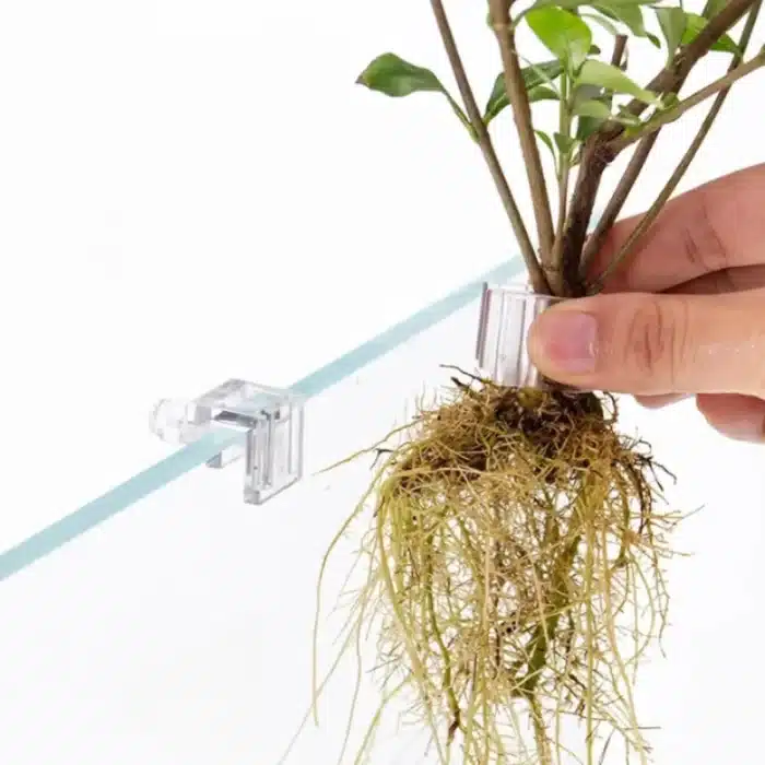 Support-Plante-Aquarium-a-clips