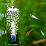 aquarium-diffuseur-d-air-avec-ventouse