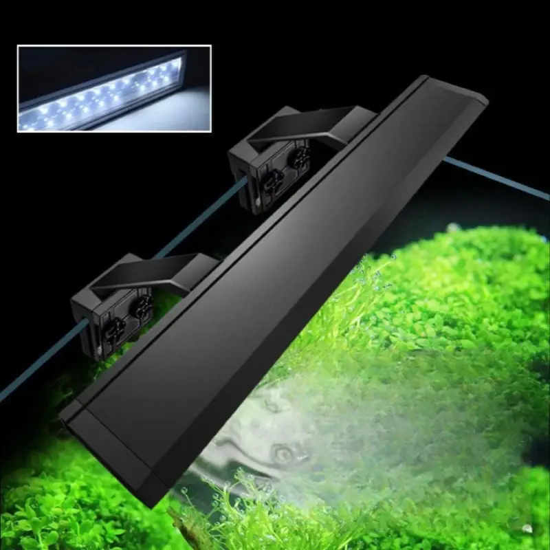 Quel Eclairage Choisir pour Aquarium de 80L-2000 Lumens