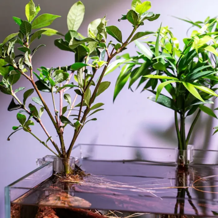 lot-de-6-Support-Plante-Aquarium-en-plastique