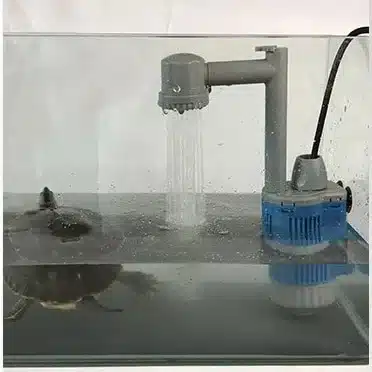 Aspirateur nettoyage terrarium tortue d'eau : conseils pratiques