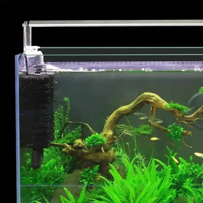 Filtre éponge silencieuse pour Aquarium 4
