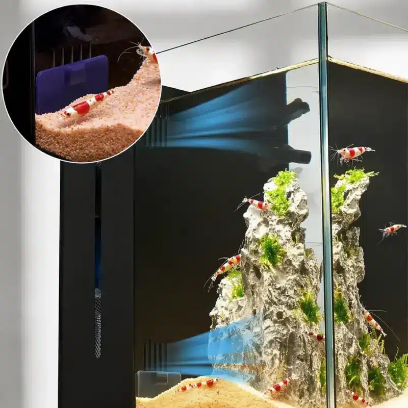 Aquarium-20L-Crevettes-rouge         