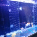 ChatGPT Image 19 avr. 2026, 20 h 36 min 02 s (2)