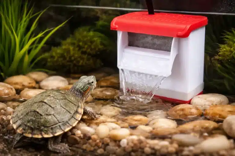 Filtre-Tortue-Aquarium-10-Litres-rouge