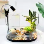 Pompe-Filtre-Tortue-Aquatique-60-120L