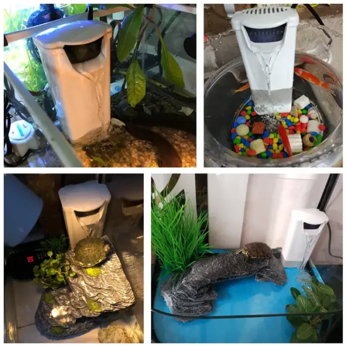 Pompe-Filtre-pour-Tortue-d-Eau-silensieuse