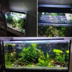 eclairage-LED-pour-aquarium-plantes-multicouleure