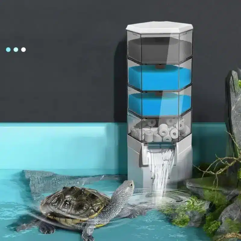 Quel filtre pour tortue d'eau pelomedusa acheter 100L