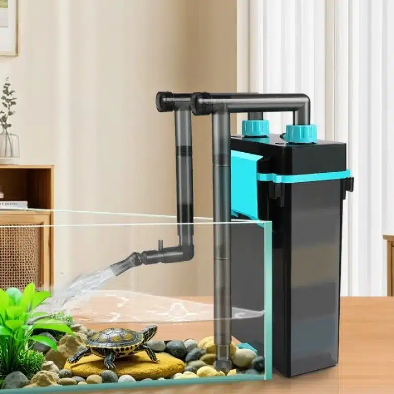 filtre-pour-tortue-d-eau-pelomedusa
