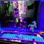 plaque-isolante-pour-aquarium-pliable-