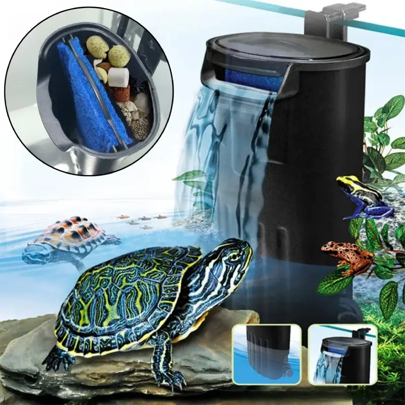 Quel filtre pour tortue d'eau pelomedusa acheter EXTERNE
