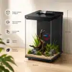 10l-nano-aquarium-poissons