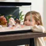 20L-Nano-Aquarium-pour-crevettes