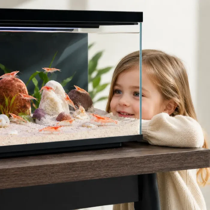 20L-Nano-Aquarium-pour-crevettes