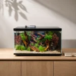 20l-aquarium-avec-filtration