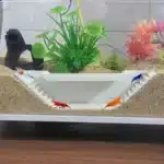Cachette-pour-Crevette-Aquarium-d-Eau-Douce