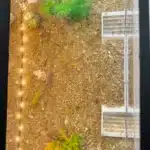 Cachette-pour-Crevette-Aquarium-d-Eau-Douce-plastique