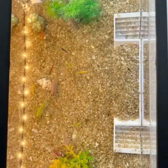 Cachette-pour-Crevette-Aquarium-d-Eau-Douce-plastique