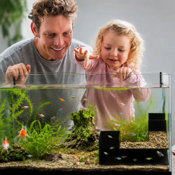 Cachette-pour-Poisson-Aquarium-d-Angle-noir