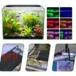Eclairage-LED-Aquarium-Eau-Douce-Extensible-rampe