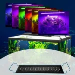 Eclairage-LED-Aquarium-Eau-Douce-reglable