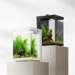 Nano-Aquarium-10L-avec-Pompe-crevettes