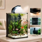Nano-Aquarium-40L-Poisson-Equipe