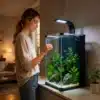 Nano-Aquarium-40L-neon-led